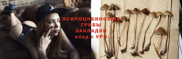 гидропоника Алзамай
