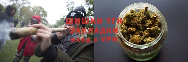 гидропоника Алзамай